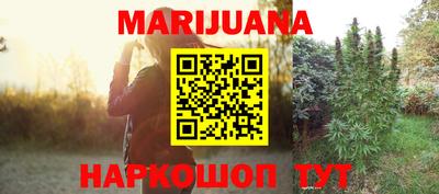 Альфа ПВП Малгобек